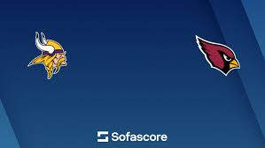 arizona cardinals vs minnesota vikings match player stats